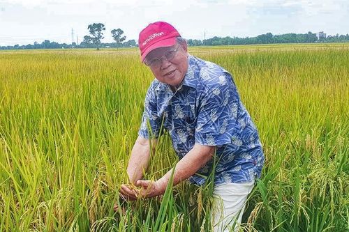 Ông 'tiến sĩ lúa' và chuyện cuốn vở chép tay nguyên vẹn cả chữ cùng hình