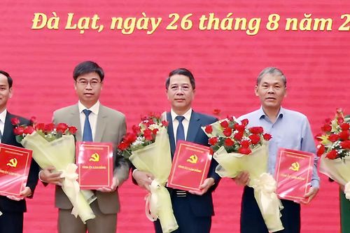 Lâm Đồng điều động, bổ nhiệm 11 cán bộ chủ chốt