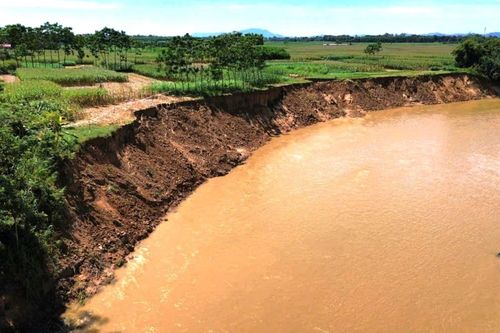 Thanh Hóa: Sạt lở hàng trăm mét dọc bờ sông Chu, uy hiếp nhà dân