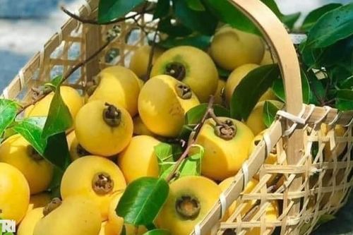 Quả thị có tác dụng gì đối với sức khỏe?