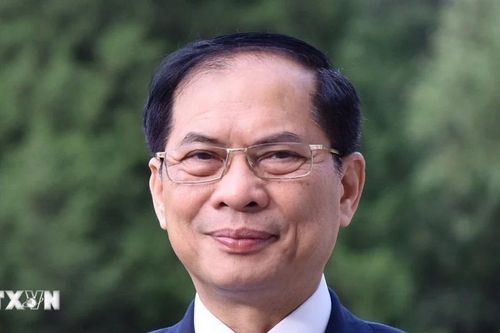 Tóm tắt tiểu sử Phó Thủ tướng Chính phủ Bùi Thanh Sơn