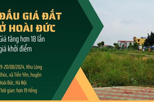 Hệ lụy từ đấu giá đất ở Hoài Đức: Đầu cơ BĐS, thị trường không bền vững