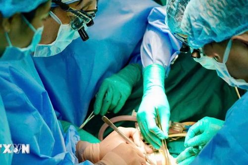 Thành phố Hồ Chí Minh thực hiện thành công 1 ca ghép tim và 2 ca ghép gan