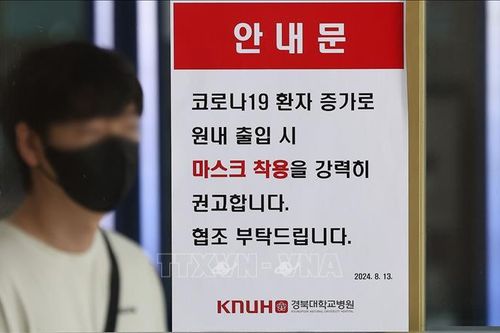 Hàn Quốc lên kế hoạch tiêm vaccine COVID-19 mũi mới cho người trên 65 tuổi