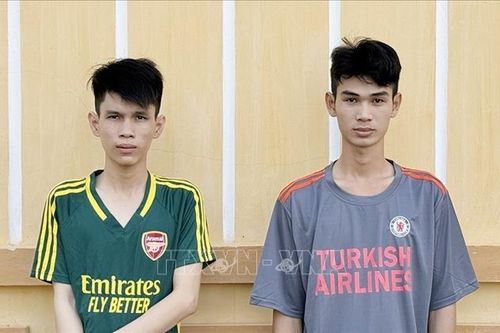 Nhiều đối tượng vi phạm pháp luật bị xử lý