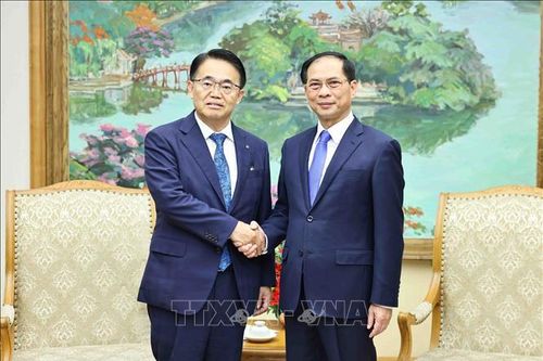 Phó Thủ tướng, Bộ trưởng Bộ Ngoại giao Bùi Thanh Sơn tiếp Thống đốc tỉnh Aichi (Nhật Bản)