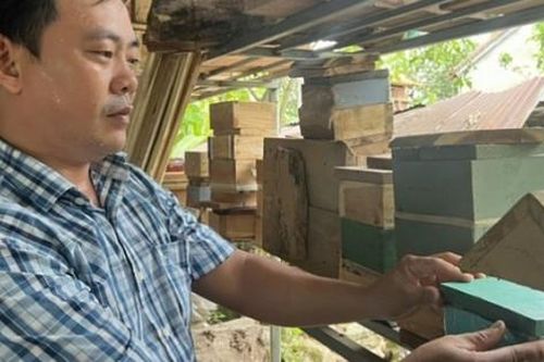 Người đàn ông thu lãi cả trăm triệu/ năm từ những chiếc tổ nhỏ