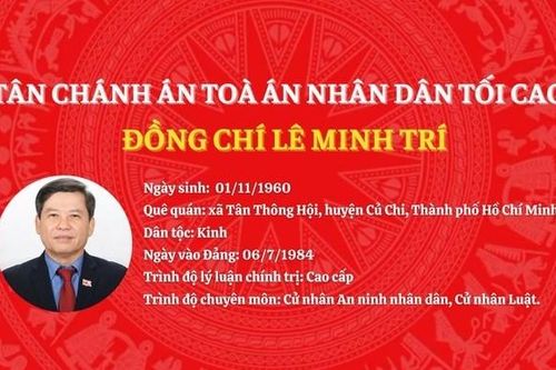 Tiểu sử Tân Chánh án Tòa án nhân dân tối cao Lê Minh Trí