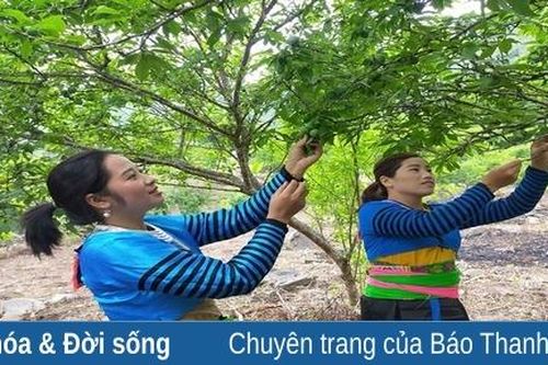 Phụ nữ Mông bước ra khỏi màn sương, đi tìm hạnh phúc