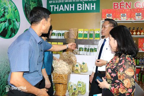 Đa dạng hóa dịch vụ để phát triển hợp tác xã