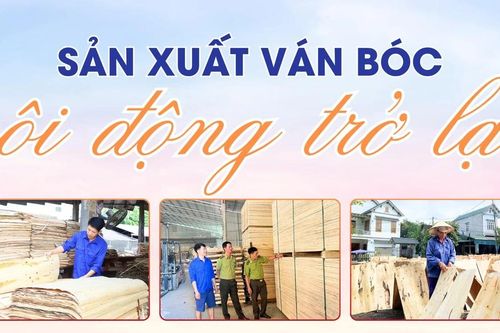 Sản xuất ván bóc sôi động trở lại