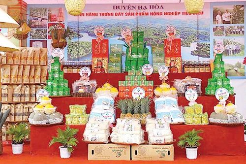 Hạ Hòa nâng tầm giá trị nông sản địa phương