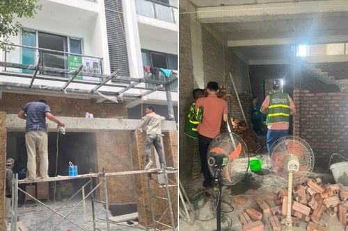 Top 3 cách chống mối khi xây nhà nhanh chóng và an toàn