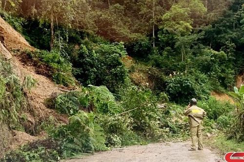 Sạt lở gây ách tắc nhiều tuyến đường trên địa bàn huyện Thuận Châu