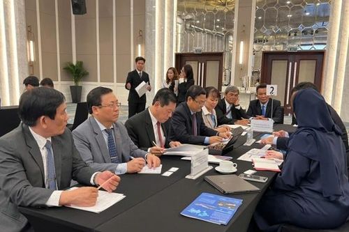 Nhiều doanh nghiệp UAE muốn đầu tư vào lĩnh vực công nghiệp tại Bình Định