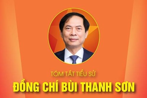 TÓM TẮT TIỂU SỬ ĐỒNG CHÍ BÙI THANH SƠN - PHÓ THỦ TƯỚNG CHÍNH PHỦ NHIỆM KỲ 2021-2026