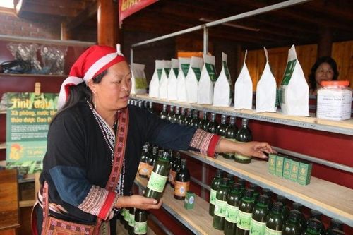 Cơ hội cho HTX khi gia nhập ngành làm đẹp, chăm sóc sức khỏe