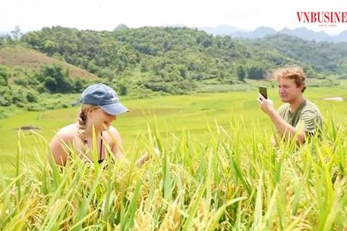 Làm nông nghiệp thông minh hút vạn khách tới thăm quan, nông dân huyện miền núi tỉnh Thanh Hóa đổi đời
