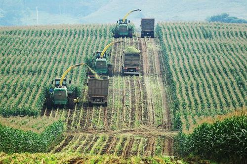 Sản xuất xanh là cơ hội vàng cho doanh nghiệp Việt