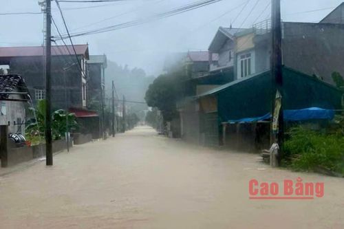 Mưa lũ ảnh hưởng các dự án xây dựng công trình giao thông