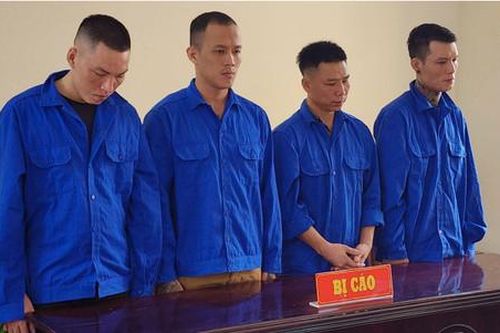 Nhóm đối tượng tổ chức bắt giữ, đánh đập con nợ lãnh án