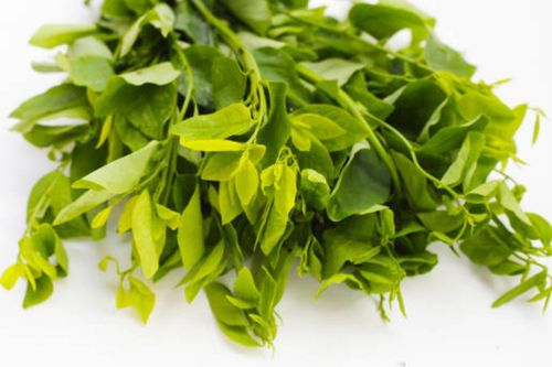 Rau ngót nên vò xong mới rửa hay rửa xong mới vò?