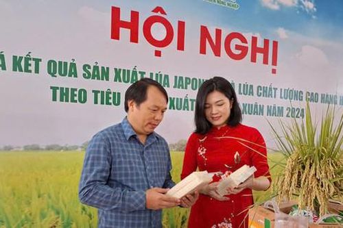 Ứng Hòa phát triển sản phẩm OCOP từ vùng trồng lúa tập trung