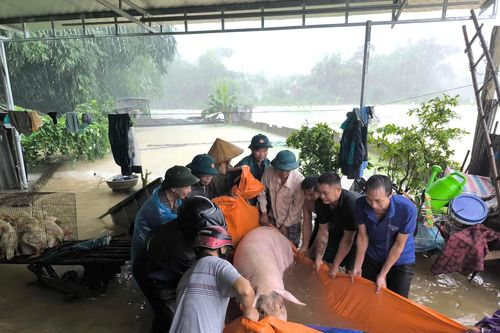 Thiệt hại nặng nề về thiên tai tại các tỉnh phía Bắc