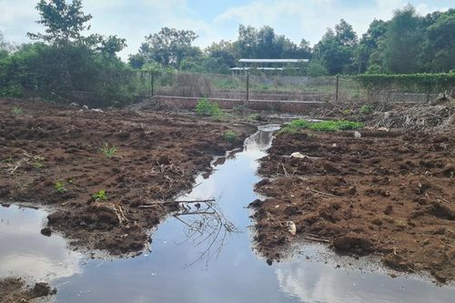 Bình Thuận: phạt hơn 430 triệu đồng trang trại heo vi phạm xả thải