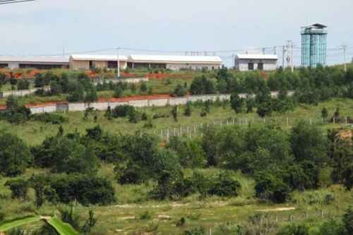Phạt hơn 400 triệu đối với chủ trại heo gây ô nhiễm môi trường