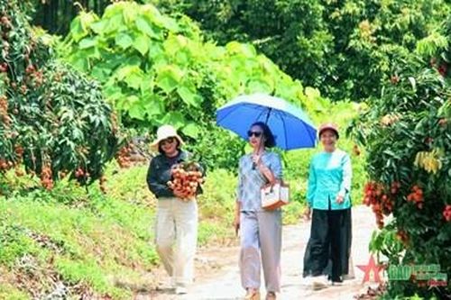 Huyện Lục Ngạn (Bắc Giang): Tập trung phát triển ngành du lịch bền vững