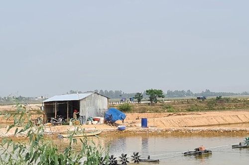 Vùng Đồng Tháp Mười (Long An): 'Băm nát' ruộng lúa làm ao nuôi tôm nước mặn
