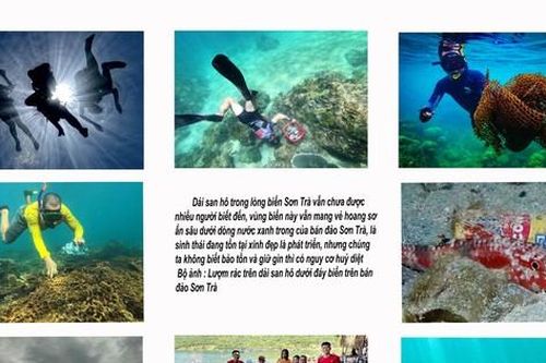 Thêm 20 tác phẩm lọt vào chung khảo Cuộc thi Giấc Mơ Xanh