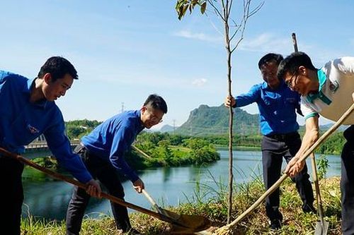 Trồng 6.300 cây xanh chống sạt lở, tạo cảnh quan tại các đền tưởng niệm liệt sĩ ở Quảng Bình
