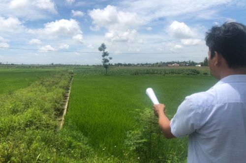 Nghiệm thu dồn điền đổi thửa hơn 6 năm, 695 thửa đất chưa cấp 'sổ đỏ' cho dân