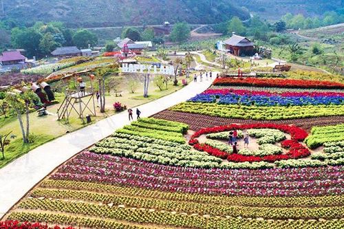 Du lịch Mộc Châu 2/9 ở đâu, ăn gì, chơi gì?
