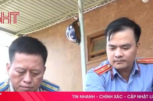 5 cá thể hổ vật chứng được thu giữ trong vụ án hình sự