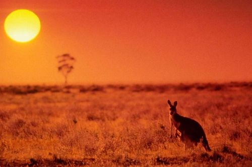 Australia ghi nhận ngày mùa Đông nóng kỷ lục, nhiệt độ lên đến 41,6 độ C