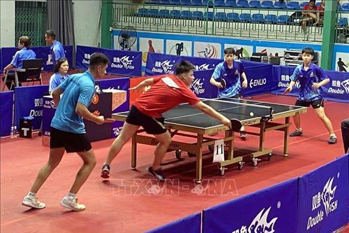 Khai mạc Giải bóng bàn các cây vợt xuất sắc trẻ, thiếu niên, nhi đồng quốc gia năm 2024