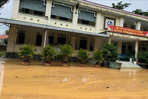 Lâm Đồng: Nguy cơ sạt lở tại khu vực đồi đất sát Trường Tiểu học Quang Trung