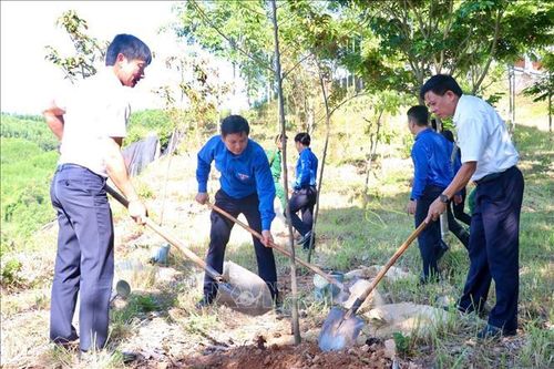 Phát động trồng cây, tạo cảnh quan đẹp tại các 'địa chỉ đỏ'
