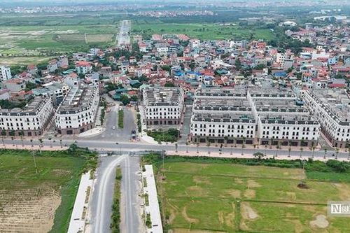 Hà Nội: Cỏ mọc um tùm trong nhà liền kề chục tỷ tại dự án Sơn Đồng Center