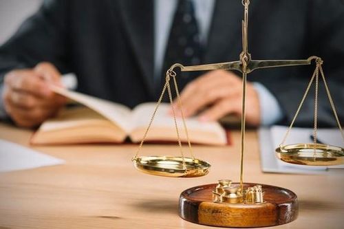 Phát triển đội ngũ 300 công chức nòng cốt tham mưu xây dựng pháp luật
