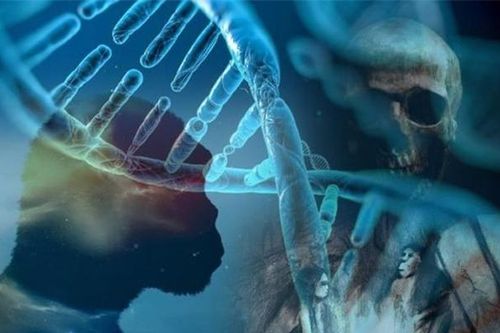 Bí ẩn 'loài người ma': Ngày nay hậu duệ vẫn còn tồn tại, cả nhân loại đau đầu truy tìm nguồn gốc