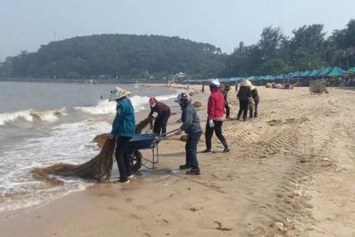 Tăng cường bảo vệ môi trường, cải thiện cuộc sống