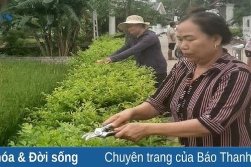 Phụ nữ lan tỏa nếp sống xanh