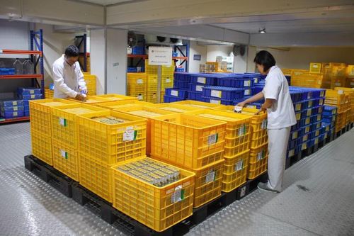Việt Nam sẽ xuất khẩu 150.000 liều vaccine dịch tả lợn châu Phi sang Philippines