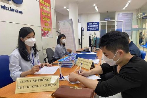 Lý do khiến lao động trẻ gặp khó khăn khi tìm việc