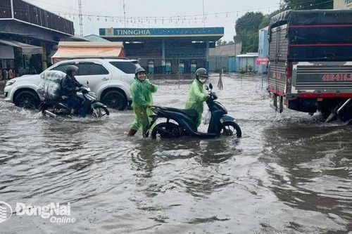 Quốc lộ 20 lại tiếp tục ngập sâu sau cơn mưa lớn