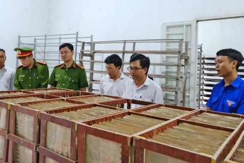 Người thủ lĩnh thanh niên năng động